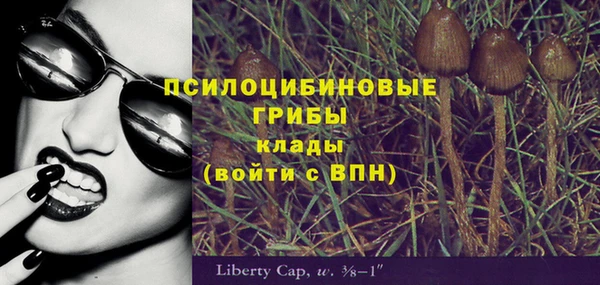 спиды Белокуриха
