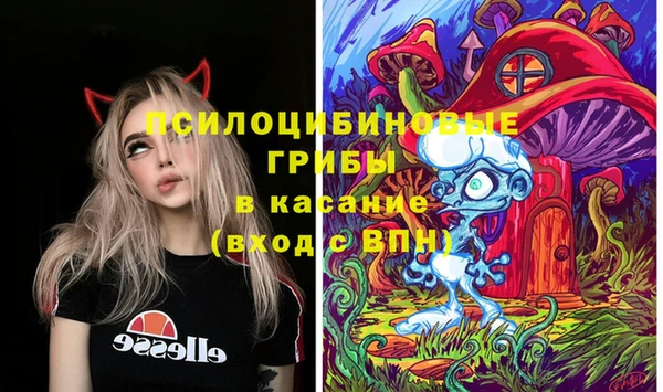 альфа пвп Беломорск