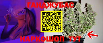 сатива Краснознаменск