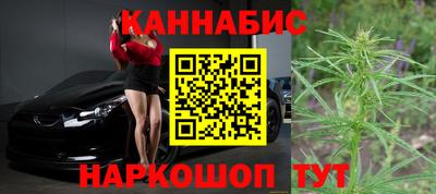 сатива Краснознаменск