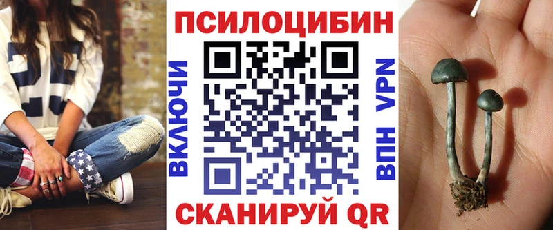 купить наркотик  Кстово  Галлюциногенные грибы Psilocybine cubensis 