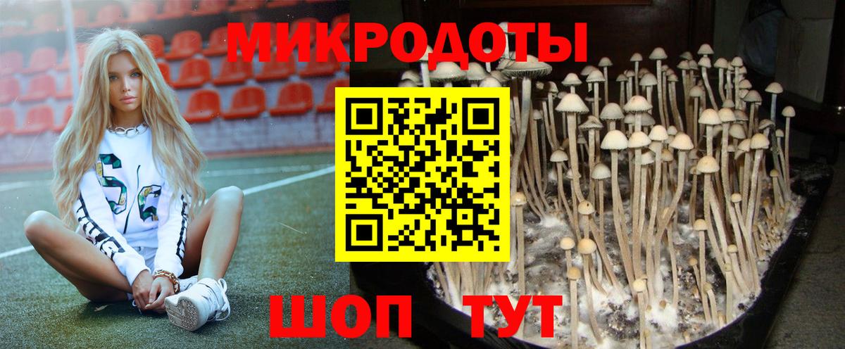 Псилоцибиновые грибы мухоморы Кстово