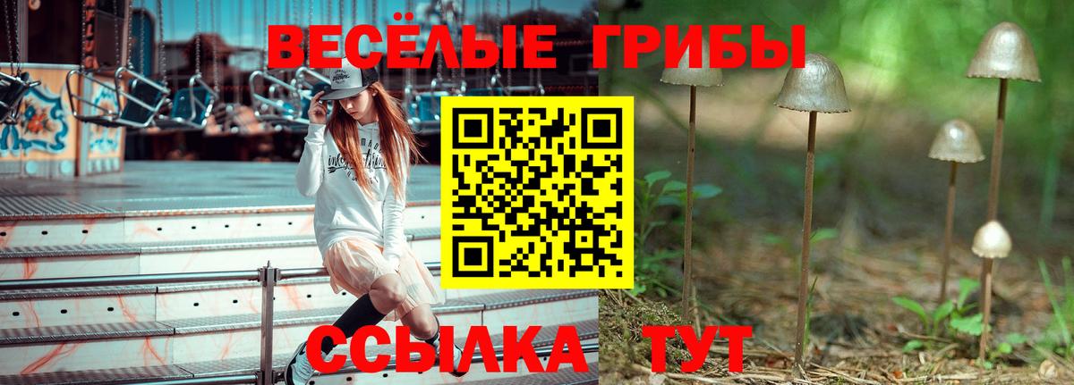 Кстово  купить  сайты  Псилоцибиновые грибы GOLDEN TEACHER  Вход с VPN  Псилоцибиновые грибы Magic Shrooms 